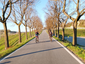 Immagine descrittiva per percorso