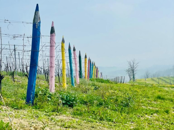 Immagine descrittiva per percorso