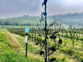 Immagine descrittiva per percorso