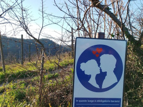 Immagine descrittiva per percorso