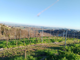 Immagine descrittiva per percorso