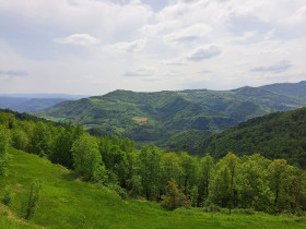 Immagine descrittiva per percorso