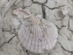 Immagine descrittiva per percorso