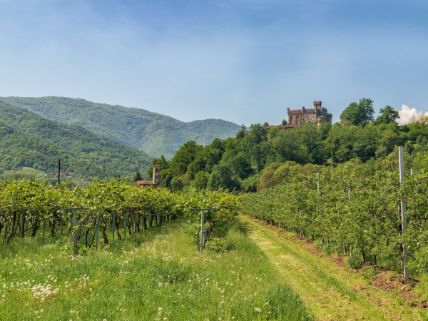 Immagine descrittiva per percorso