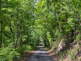 Immagine descrittiva per percorso