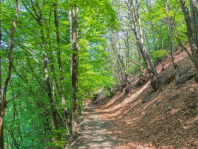 Immagine descrittiva per percorso