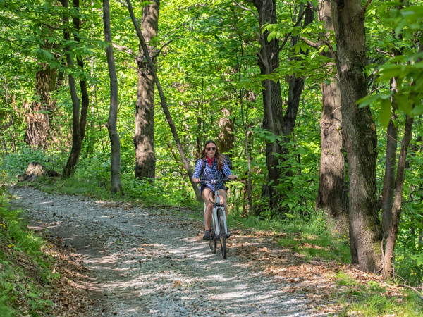 Immagine descrittiva per percorso