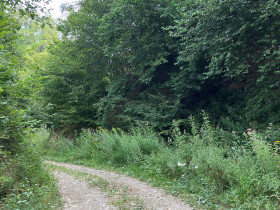 Immagine descrittiva per percorso