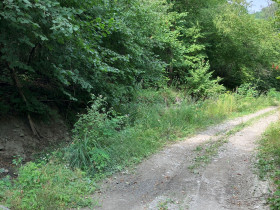 Immagine descrittiva per percorso