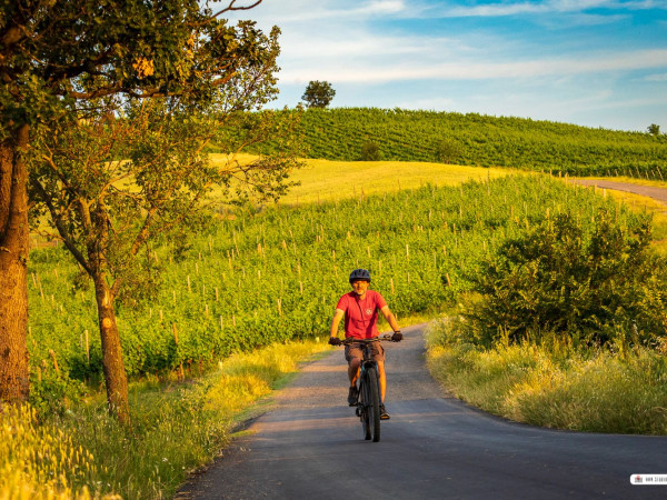 Immagine descrittiva per percorso