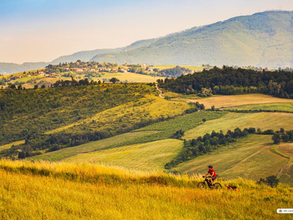 Immagine descrittiva per percorso