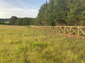 Immagine descrittiva per percorso