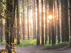 Immagine descrittiva per percorso