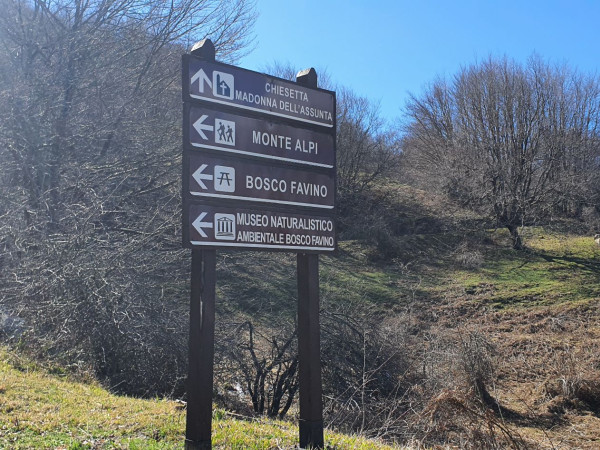 Immagine descrittiva per percorso