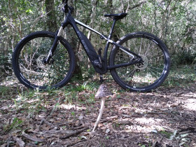 Immagine descrittiva per percorso