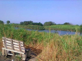 Immagine descrittiva per percorso