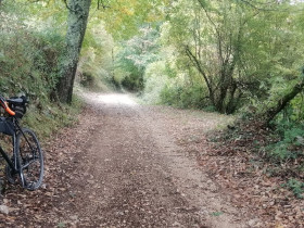 Immagine descrittiva per percorso