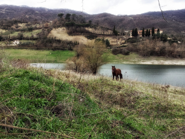 Immagine descrittiva per percorso