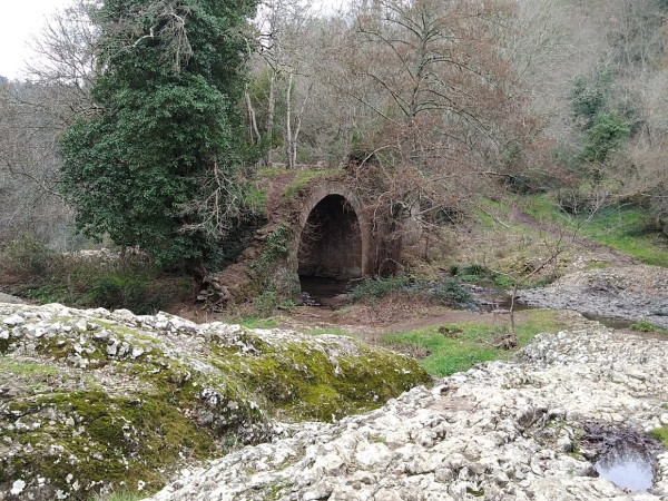 Immagine descrittiva per percorso