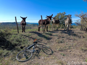 Immagine descrittiva per percorso