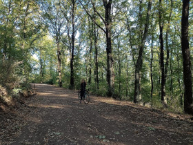 Immagine descrittiva per percorso