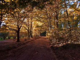 Immagine descrittiva per percorso