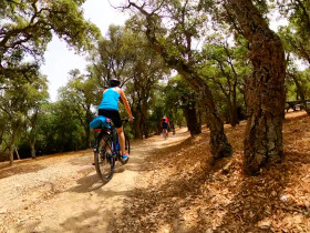 Immagine descrittiva per percorso