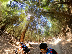 Immagine descrittiva per percorso