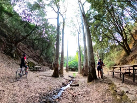 Immagine descrittiva per percorso