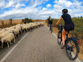 Immagine descrittiva per percorso