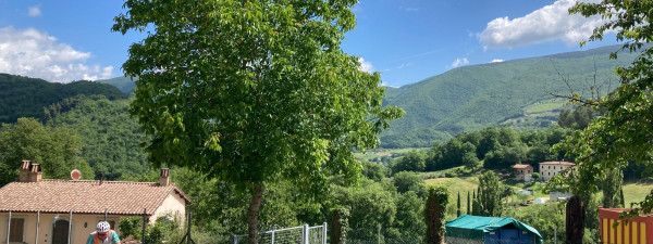 Immagine descrittiva per percorso