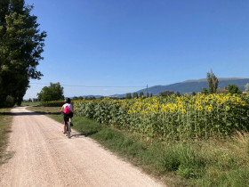 Immagine descrittiva per percorso