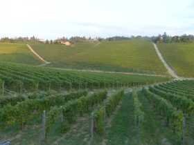 Immagine descrittiva per percorso