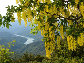 Immagine descrittiva per percorso