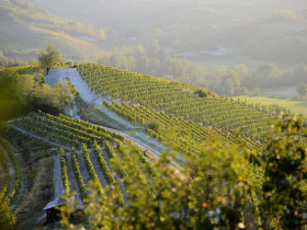 Immagine descrittiva per percorso