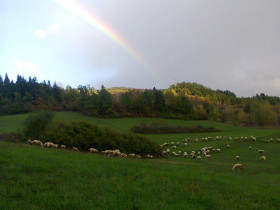 Immagine descrittiva per percorso