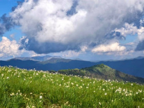 Immagine descrittiva per percorso