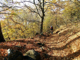 Immagine descrittiva per percorso
