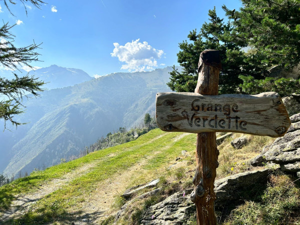 Immagine descrittiva per percorso