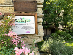 Immagine descrittiva per percorso