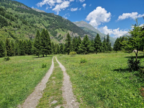 Immagine descrittiva per percorso