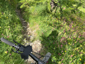 Immagine descrittiva per percorso