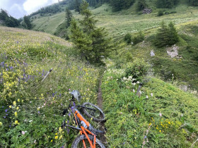 Immagine descrittiva per percorso