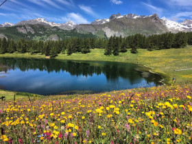 Immagine descrittiva per percorso