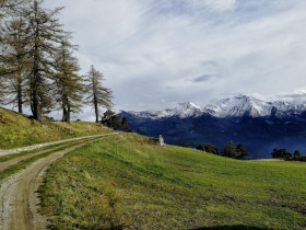 Immagine descrittiva per percorso