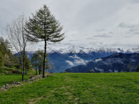 Immagine descrittiva per percorso