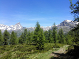 Immagine descrittiva per percorso