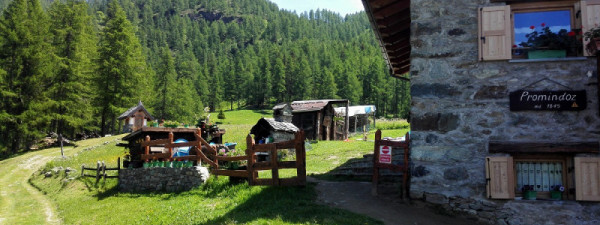 Immagine descrittiva per percorso