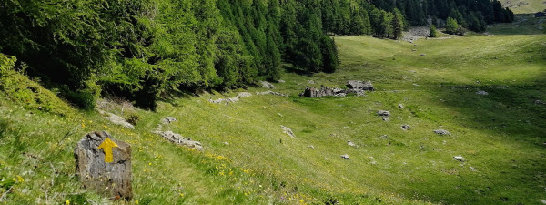 Immagine descrittiva per percorso