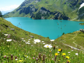 Immagine descrittiva per percorso